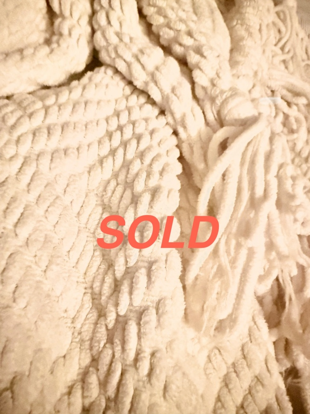 Boys Tommy Bahama Sweat Shorts Size 7/8